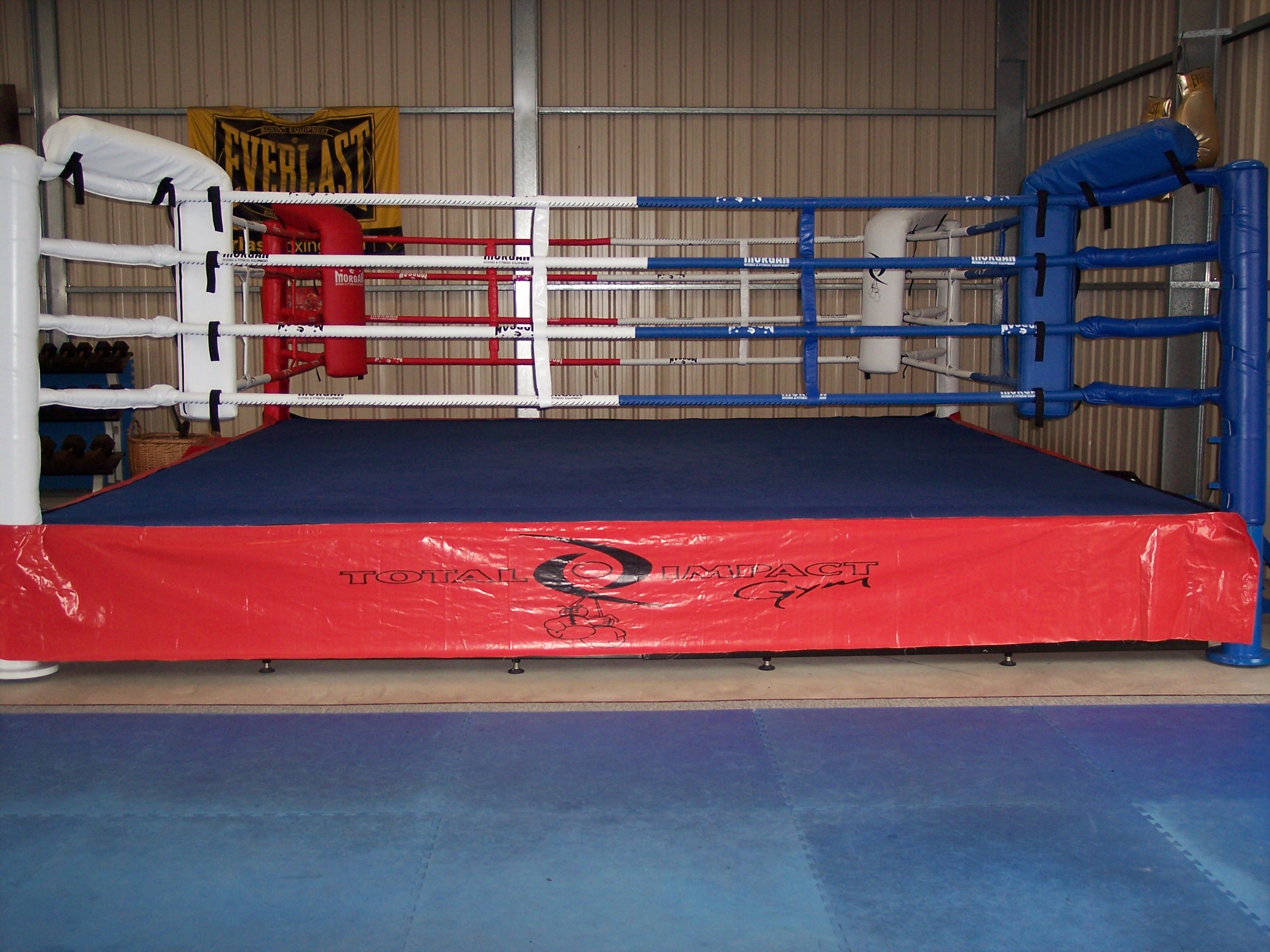 Pro Boxing Ring